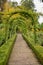 A picture of vine rose tunnel and a pathway in autumn.   Victoria BC Canada