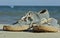 Picture of vintage old shabby sneakers at seacost