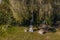 Picture of a wayside cross in front of a big tree with wooden bench in Bavaria, Germany