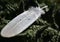 Picture of white feather with drop from rain on green plant thistle with spine, prickle and thorn