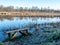 Picture with a wooden bench by the lake, frosted grass,