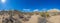 Picture of Yoshua Tree National Park with cactus trees in California during the day