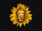 Pictures of lion and sunflower combined in one