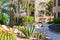 Pictures of a path through the cactus garden with flowers and a decorative statue of a bird