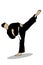 pictures of Pencak Silat kicks with straight legs beautiful movement full of artistic value