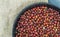 Pictures of rosehip fruit dried in a tray, drying rosehip, drying rosehip to drink rosehip tea.