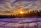 Pictures of a sunset over a forest near the Finnish town of Rauma