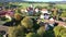 Picturesque aerial view of small Czech village Cakov surrounded by green and yellow trees and fields