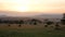 Picturesque African Landscape At Sunset In Hilly Savanna With Wild Animals