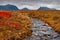 Picturesque autumn Arctic landscape. A small river in the tundra in a valley among the mountains.