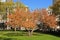 Picturesque autumn at Columbia University also known as Columbia, private Ivy League research university in New York City