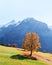 Picturesque autumn landscape in Grindelwald village