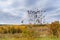 Picturesque autumn landscape. View from the hill to the lowland