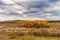 Picturesque autumn landscape. View from the hill to the lowland