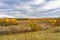 Picturesque autumn landscape. View from the hill to the lowland with forest and swamps. Beautiful natural background