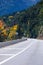 Picturesque autumn trees in the mountains create an amazing and vibrant landscape