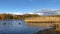 picturesque bright autumn landscape, river, motley forest