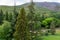 Picturesque calm autumn landscape with coniferous trees and cedars on background of Ayu-Dag Bear Mountain