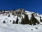 Picturesque canopies of alpine trees in a typical winter atmosphere in the Swiss Alps and over the tourist resort of Arosa