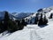 Picturesque canopies of alpine trees in a typical winter atmosphere in the Swiss Alps and over the tourist resort of Arosa