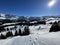 Picturesque canopies of alpine trees in a typical winter atmosphere in the Swiss Alps and over the tourist resort of Arosa