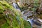 Picturesque cascade of Crater Falls with moss-covered trunk in f