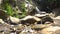 Picturesque Cascade Waterfall in Lush Jungles of Samui Island, Thailiand.