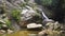 Picturesque Cascade Waterfall in Lush Jungles of Samui Island, Thailiand.