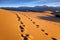The picturesque chains of footprints