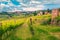 Picturesque cityscape with green vineyard and cloudy sky, Tuscany, Italy