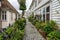 Picturesque cobbled street in Bergen, Norway nicely decorated with plants and flowers