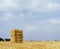 Picturesque Cotswolds - Farming