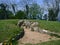 Picturesque Cotswolds-Nympsfield Long Barrow