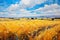 Picturesque countryside with golden fields of wheat and a vivid blue sky overhead