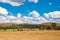 Picturesque countryside landscape with wind electricity turbines