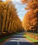 A picturesque countryside road lined with trees in full autumn foliage AI-Generated