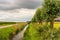 Picturesque Dutch landscape with a ditch and a row of trees