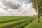 Picturesque Dutch rural landscape with arable farming