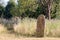 Picturesque English countryside graveyard. Ancient rural churchyard cemetery burial site.