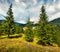 Picturesque evening view of Pietrele Albe mountain peak. Majestic summer scene of Apuseni Natural Park, Cluj County, Romania,