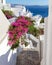 Picturesque flowering stairs with pink blooming bougainvillea leading to the sea, Santorini, Greece