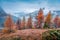 Picturesque foggy view of Dolomite Alps with orange larch trees. Colorful autumn scene of mountains. Giau pass location, Italy,