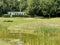 Picturesque golf hole with a pond, ducks and bunker