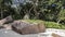 Picturesque granite boulders, interwoven with green plants