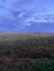 Picturesque grassy field. The moment before the storm. Nizhny Novgorod region, Russia.