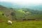 Picturesque grassy hill landscape with a single white sheep