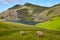 Picturesque green landscape with lambs in Faroe islands. Saksun
