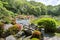 Picturesque japanese garden