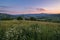 Picturesque June Carpathian mountain countryside meadows. with beautiful wild flowers