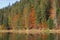 Picturesque lake in the autumn forest.